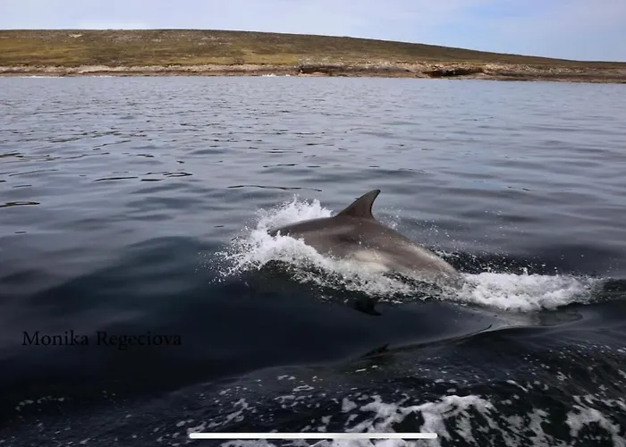 Prázdninový dům Seascape On The Edge Of Town: 4 Beds Ensuite. *